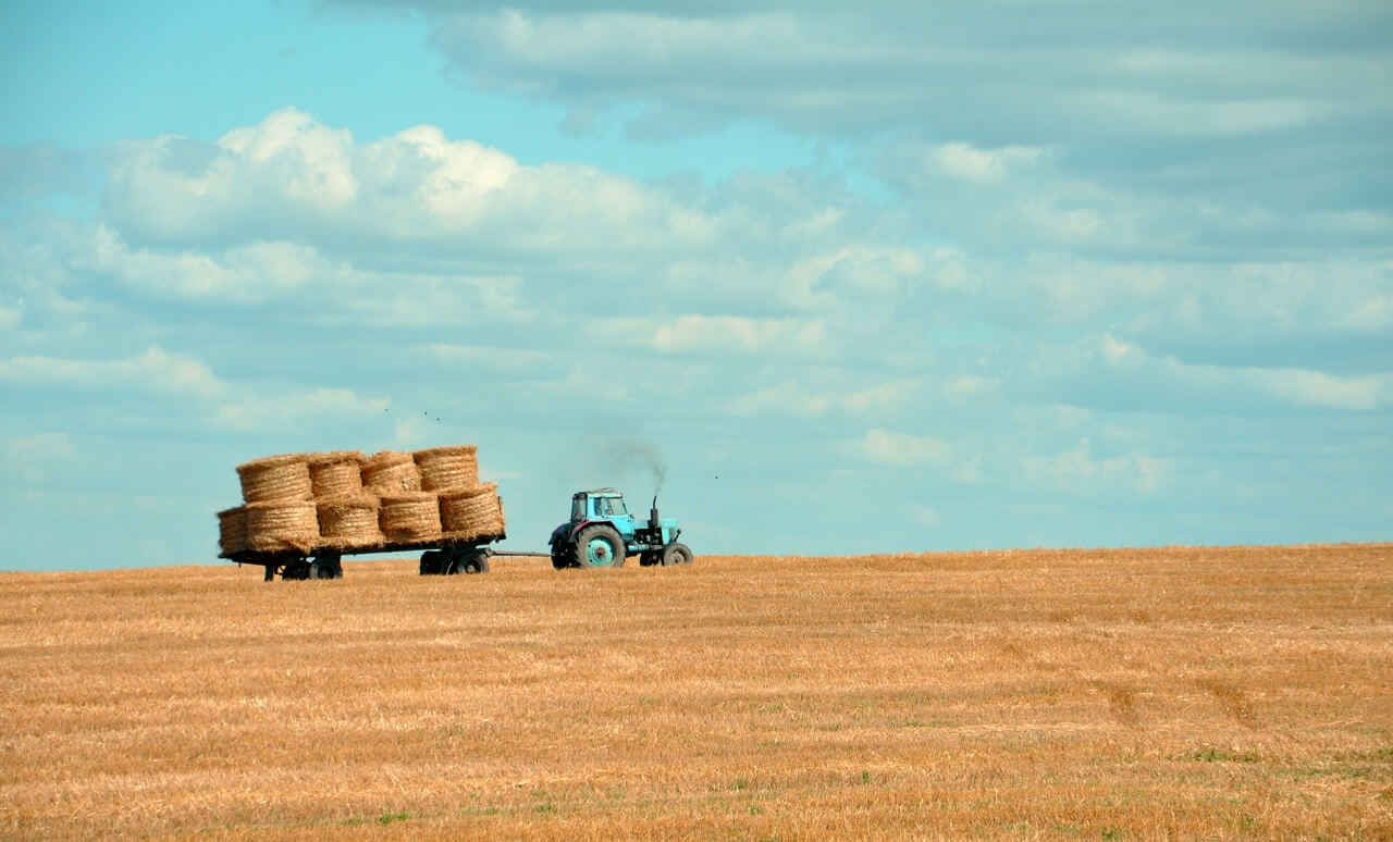 The Decline in Nutrient Content of Our Food and the Role of Supplements: A Growing Consideration