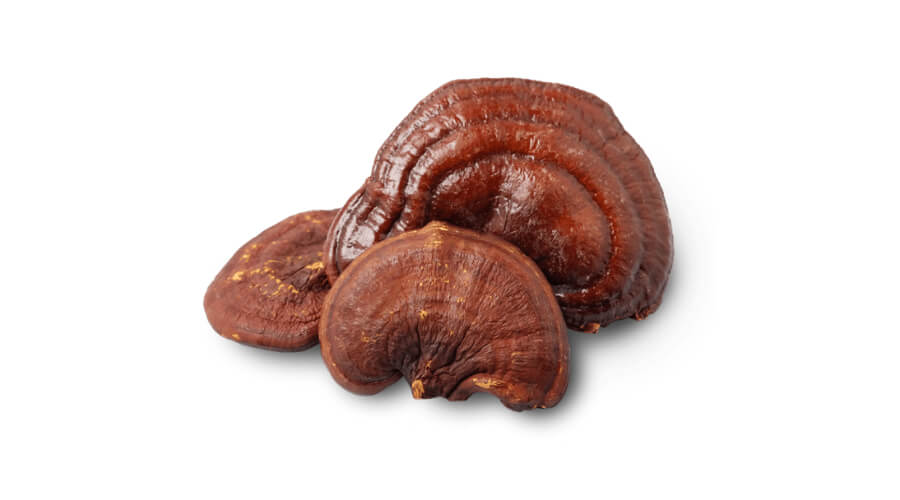 Reishi helps fight inflammation